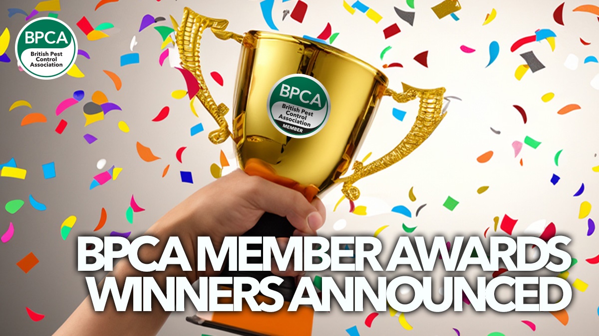 bpca-member-awards-winners-announced bpca-member-awards-winners-announced